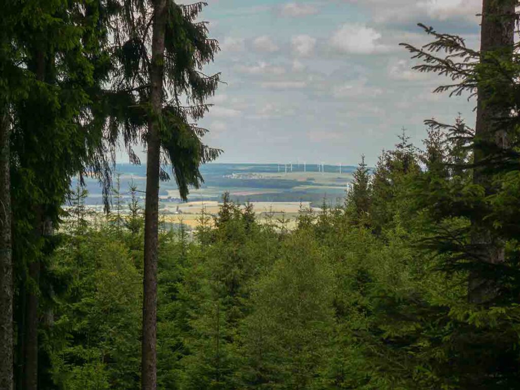 Draußen zu Hause - Wildnisschule Soonwald